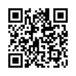 QR Code (код быстрого отклика)