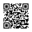 QR Code (код быстрого отклика)