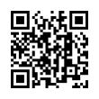 QR Code (код быстрого отклика)