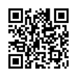 QR Code (код быстрого отклика)