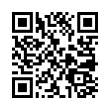 QR Code (код быстрого отклика)