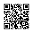 QR Code (код быстрого отклика)