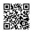 QR Code (код быстрого отклика)