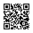 QR Code (код быстрого отклика)