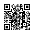 QR Code (код быстрого отклика)