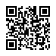 QR Code (код быстрого отклика)