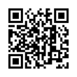 QR Code (код быстрого отклика)