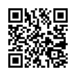 QR Code (код быстрого отклика)