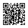 QR Code (код быстрого отклика)