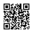 QR Code (код быстрого отклика)