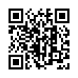 QR Code (код быстрого отклика)