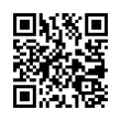 QR Code (код быстрого отклика)