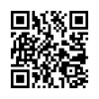 QR Code (код быстрого отклика)