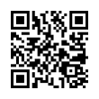 QR Code (код быстрого отклика)