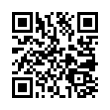 QR Code (код быстрого отклика)