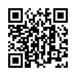 QR Code (код быстрого отклика)
