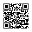 QR Code (код быстрого отклика)