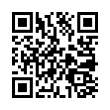 QR Code (код быстрого отклика)