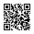 QR Code (код быстрого отклика)