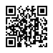 QR Code (код быстрого отклика)