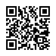 QR Code (код быстрого отклика)