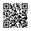 QR Code (код быстрого отклика)
