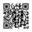 QR Code (код быстрого отклика)