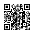 QR Code (код быстрого отклика)