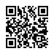 QR Code (код быстрого отклика)