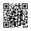 QR Code (код быстрого отклика)