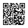 QR Code (код быстрого отклика)