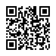 QR Code (код быстрого отклика)