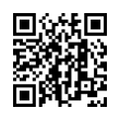 QR Code (код быстрого отклика)