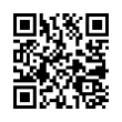 QR Code (код быстрого отклика)