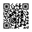 QR Code (код быстрого отклика)