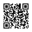 QR Code (код быстрого отклика)