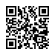 QR Code (код быстрого отклика)