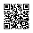 QR Code (код быстрого отклика)