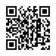 QR Code (код быстрого отклика)