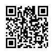 QR Code (код быстрого отклика)