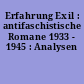 Erfahrung Exil : antifaschistische Romane 1933 - 1945 : Analysen