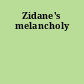 Zidane's melancholy