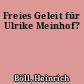 Freies Geleit für Ulrike Meinhof?