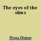 The eyes of the olms