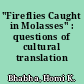 "Fireflies Caught in Molasses" : questions of cultural translation