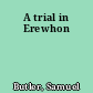 A trial in Erewhon