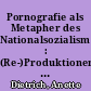 Pornografie als Metapher des Nationalsozialismus? : (Re-)Produktionen sexualisierter Deutungsmuster