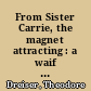 From Sister Carrie, the magnet attracting : a waif amid forces