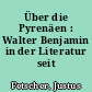 Über die Pyrenäen : Walter Benjamin in der Literatur seit 1940