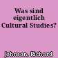 Was sind eigentlich Cultural Studies?